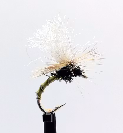 Klinkhammer Olive Biot  #14