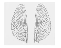 Mayfly Realistic Wing Material J:son