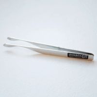 Generic Realistic Wing Burner J:son