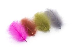 Troutline Size Selected CDC Feathers 3-4cm
