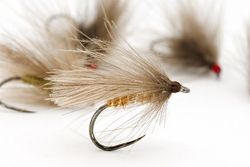Special Super Floating Cinnamon CDC Sedge - BL #16