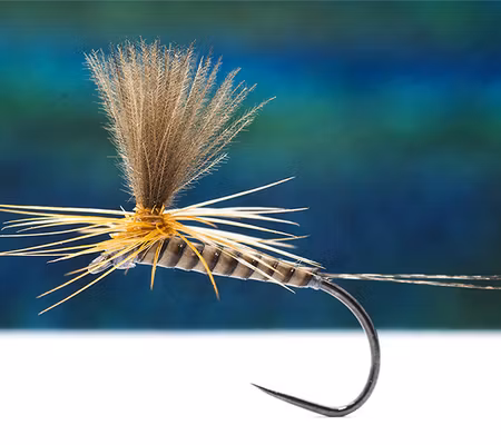 Tactical PF12 Dry Fly BL #16