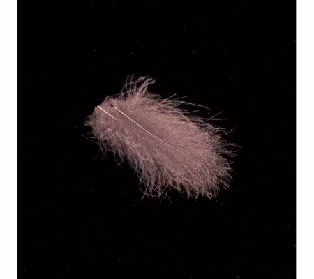 Hends CDC 25 stycken