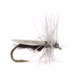 Diptera #18 Fly Dressing