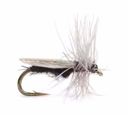 Diptera #18 Fly Dressing
