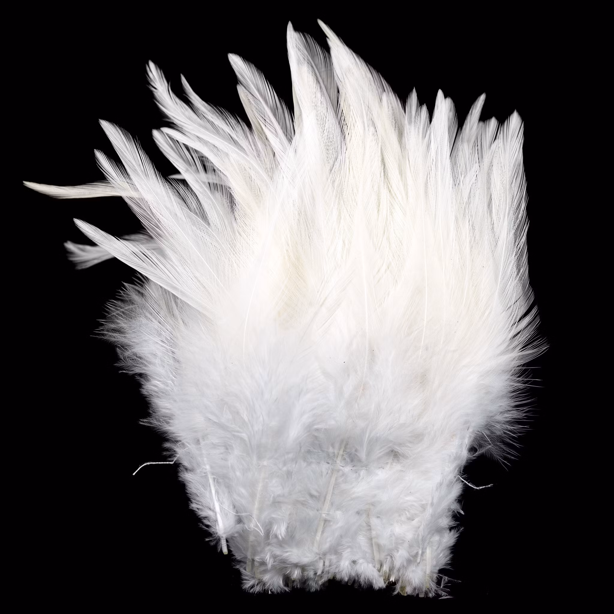 Strung Saddle Hackle Fly Dressing
