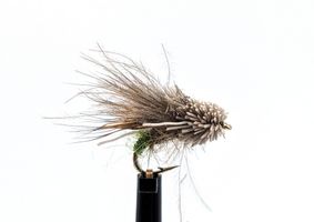 DH Egg Laying Caddis #16