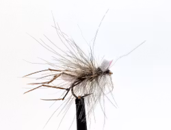 Harkrank CDC Daddy Long Leg #12