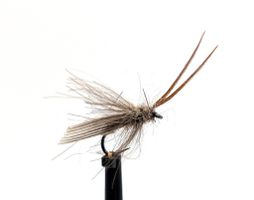 Adult Caddis #16