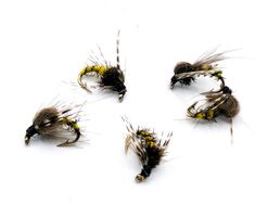 Kläckare Brown/Yellow #16