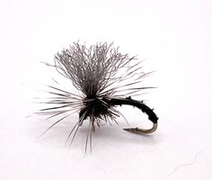 Klinkhammer Black Biot  #14