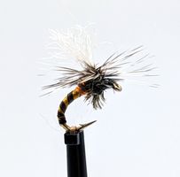 Kläckare Black Orange #16