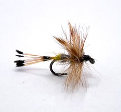 Royal Adams Female #14