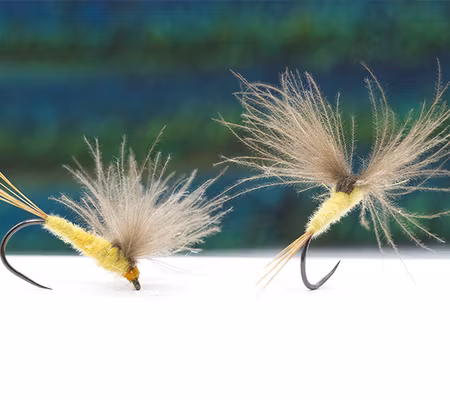 Tactical Yellow CDC BL Spinner #14