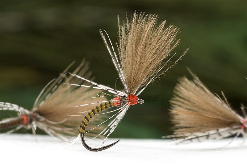 Tactical E2 CDC Emerger #16