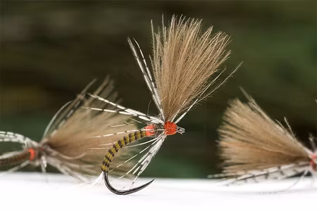 Tactical E2 CDC Emerger #16