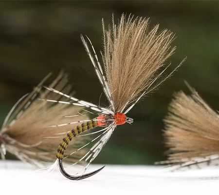 Tactical E2 CDC Emerger #16