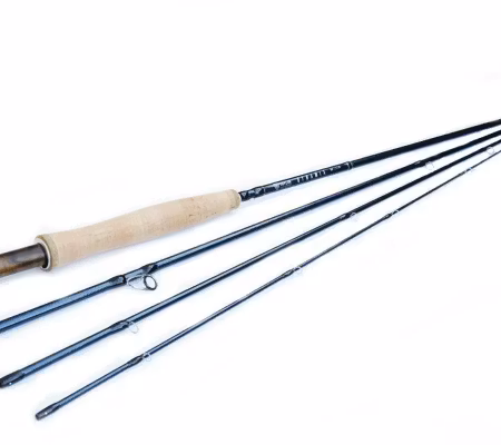 Taylor Dynamix 9ft #5