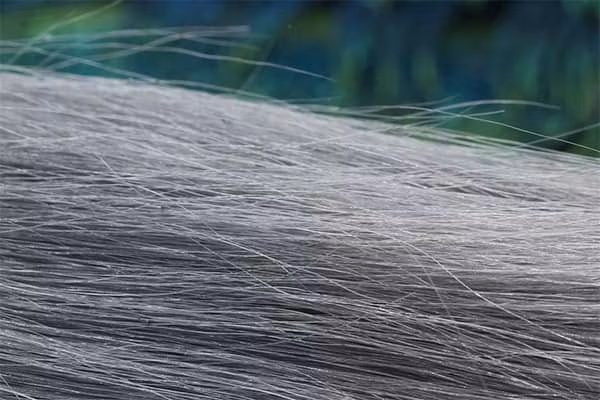 Troutline Super Long Goat Fur