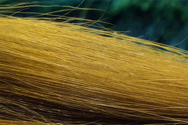Troutline Super Long Goat Fur