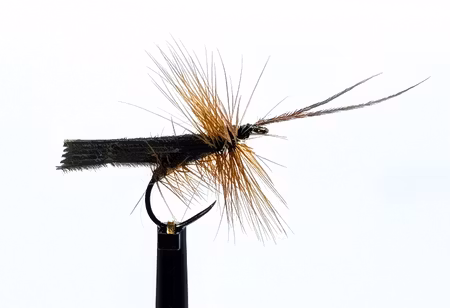 Brown Horned Roof Wing #14