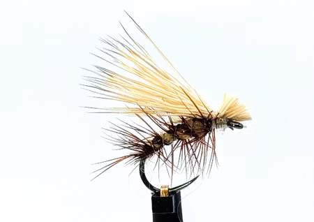 Elk Hair Caddis Tan #16