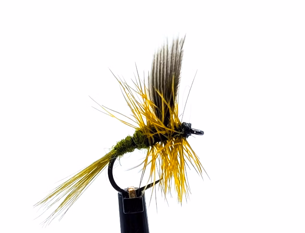 Olive Dun #16