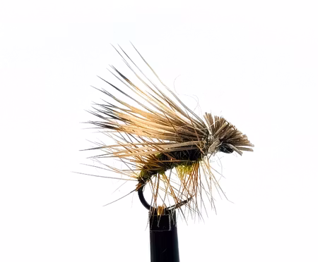 Elk Hair Caddis Olive #16