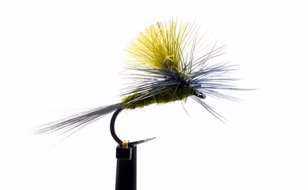 Mayfly Olive CDC #14