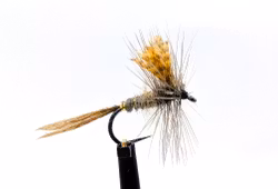 Atherton No:5 Dark #14