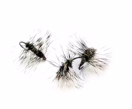 Superpuppa Dark Olive #16
