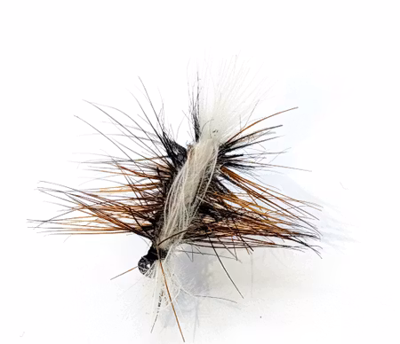 Brown Badger #14