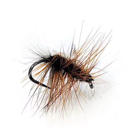 Brown Badger #14