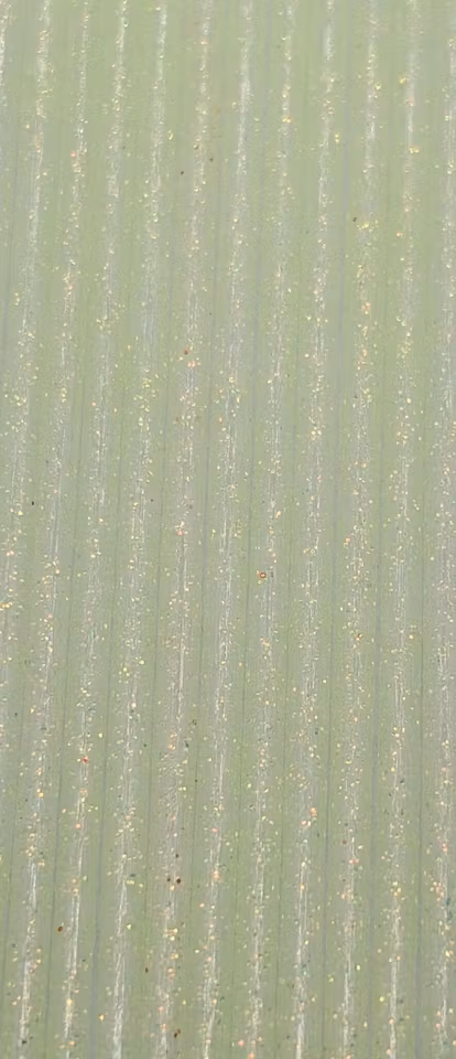 Pro Tube Classic Medium