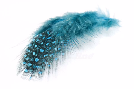 Selected Guinea Fowl Feathers
