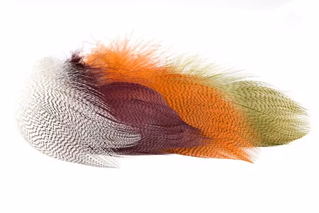 Premium Mallard Barred Feathers