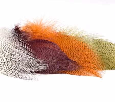 Premium Mallard Barred Feathers