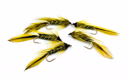 Matuka Olive #8