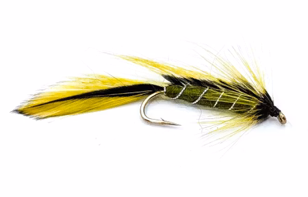 Matuka Olive #8