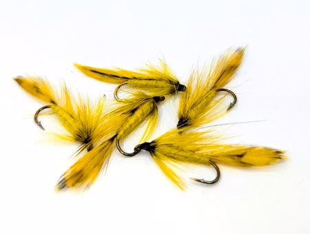 Matuka Yellow #8