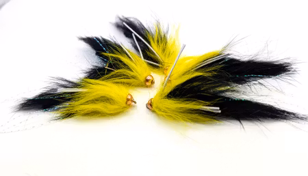 Superkaninen Black-Yellow #8