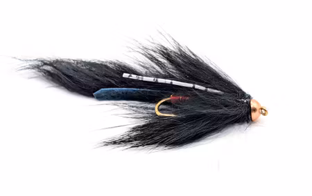 Zonker Black-Red  #8