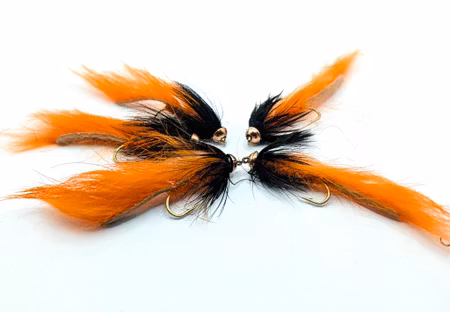 Zonker Orange/Black #8