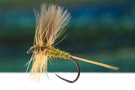 Catskill Olive Dun CDC Wings #16