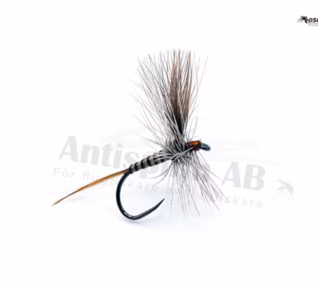 Catskill Quill Gordon CDC Wings #14