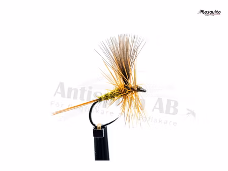 Catskill Olive Dun CDC Wings #16