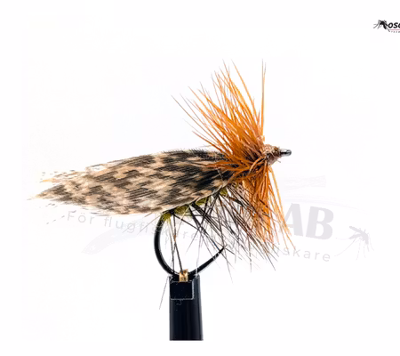 Henryville Special BL # 14