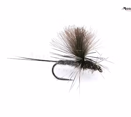 Dagslända Blue Dun #14