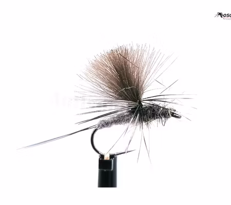 Dagslända Blue Dun #14