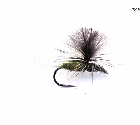 Dagslända Olive Dun #14